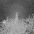 Webcam_20191222-200000