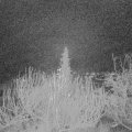 Webcam_20191223-070000