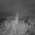 Webcam_20191223-073000