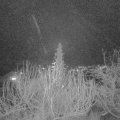Webcam_20191223-173000
