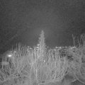 Webcam_20191223-180000