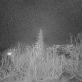 Webcam_20191223-183000