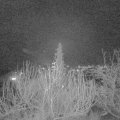 Webcam_20191223-190000