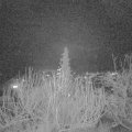 Webcam_20191223-193000
