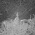 Webcam_20191223-200000