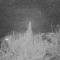 Webcam_20191223-203000
