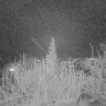 Webcam_20191223-210000