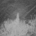 Webcam_20191224-050000