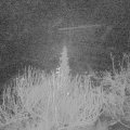 Webcam_20191224-060000