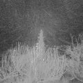 Webcam_20191224-070000