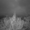 Webcam_20191224-073000