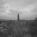 Webcam_20191224-080000