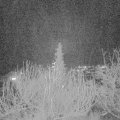 Webcam_20191224-190000