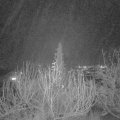 Webcam_20191224-203000