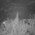 Webcam_20191224-210000