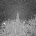 Webcam_20191224-220000