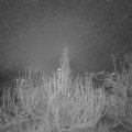 Webcam_20191225-053000