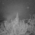 Webcam_20191225-070000