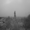Webcam_20191225-080000