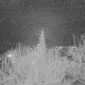 Webcam_20191225-180000
