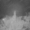 Webcam_20191225-183000