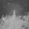 Webcam_20191225-190000