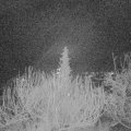 Webcam_20191226-050000
