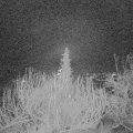 Webcam_20191226-060000