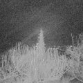 Webcam_20191226-070000