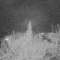 Webcam_20191226-193000