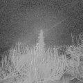 Webcam_20191227-053000