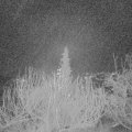 Webcam_20191227-060000