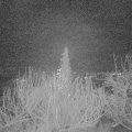 Webcam_20191227-063000
