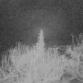 Webcam_20191228-053000