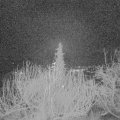 Webcam_20191228-063000