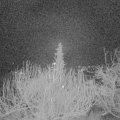 Webcam_20191229-050000