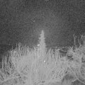 Webcam_20191229-063000