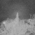 Webcam_20191229-190000