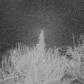 Webcam_20191230-060000
