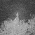 Webcam_20191230-063000