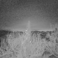 Webcam_20191230-070000