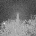 Webcam_20200101-210000