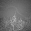 Webcam_20200103-053000