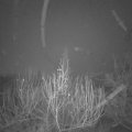 Webcam_20200103-060000
