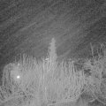 Webcam_20200104-050000