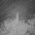 Webcam_20200104-053000