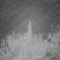 Webcam_20200104-060000