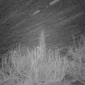Webcam_20200104-070000