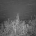 Webcam_20200104-073000