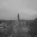 Webcam_20200104-080000